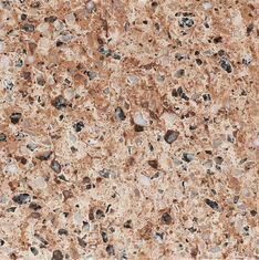 kitchen top Quartz Stone Slab  supplier