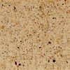 China 1.2cm , 1.5cm , 2cm , 3cm quartz stone kitchen countertop heat resist distributor